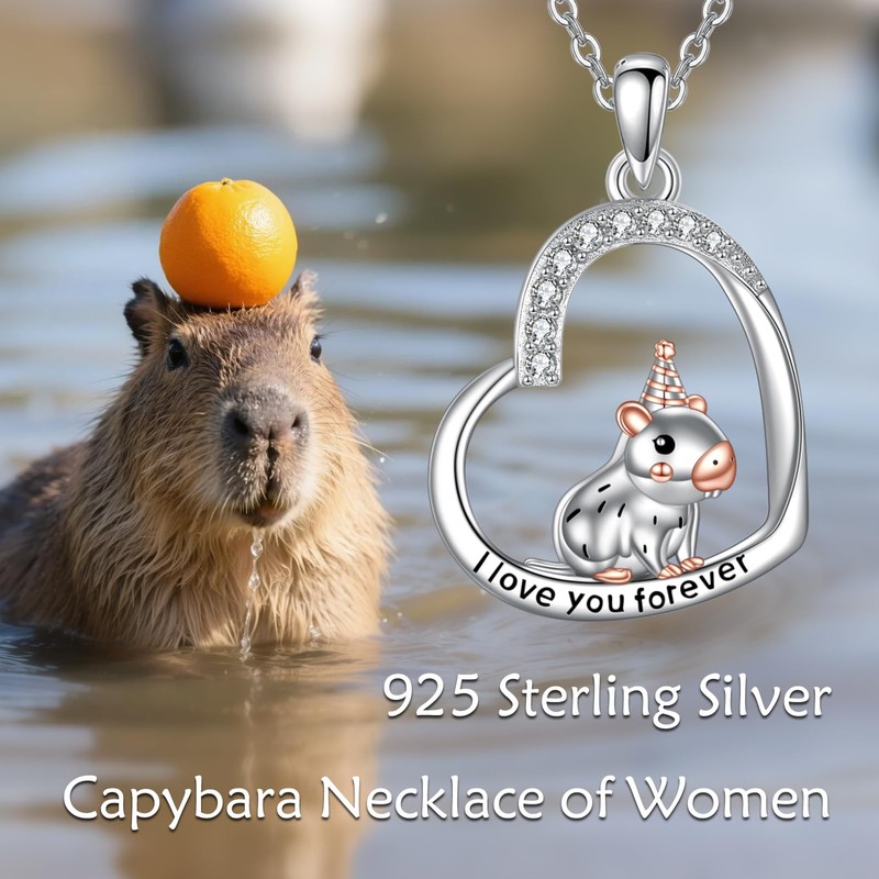 JERWLI Capybara Birthday Gifts 925 Sterling Silver Capybara Neckalce Jewelry