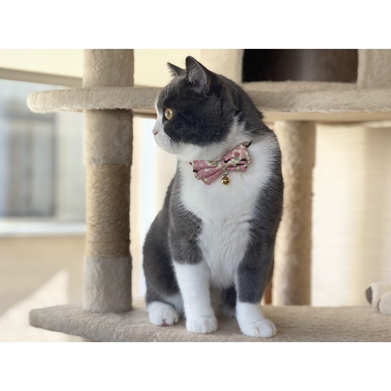 Hanami Bow Tie Cat Collar (Pastel Pink)