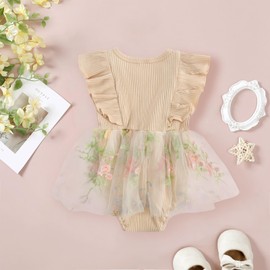 JiAmy Baby Girl Clothes Newborn Floral Embroidery Mesh Tulle Romper Toddler Ruffle Short Sleeve Bodysuit Spring Summer Baby Girl Dress for 6-12 Months Beige