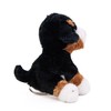 Teddys Rothenburg Cuddly Toy Bernese Mountain Dog Small Sitting 15