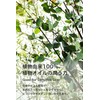 linea mamma baby ママベビー UV&アウトドアスプレー SPF20 / PA++ (オーガニック) 80ml