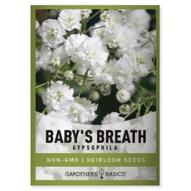 Gardeners Basics, Baby's Breath Seeds for Planting Gpsophila - Beautiful Annual Cut Flower for Flower Arrangements and Beautiful in Flower Beds in Summer Gardens Too