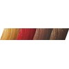 Wella Color Touch 9/01 60ml