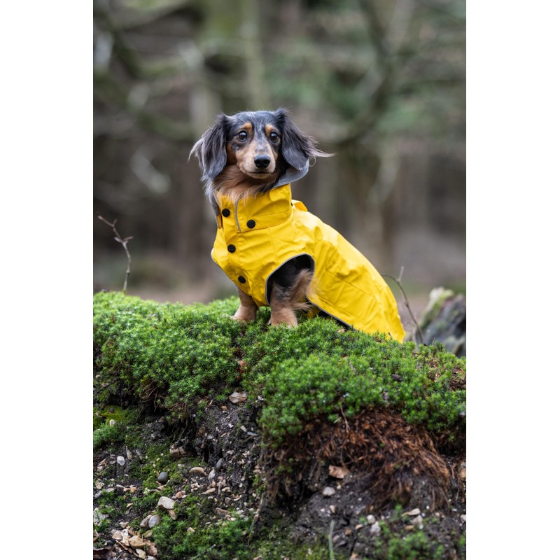 Rukka Pets Stream Raincoat for Dogs Yellow 80