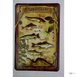 WOGEKA ART Retro Tin Sign - Predatory Fish Pike Eel Catfish Zander Perch - Funny Saying as a Gift Idea for Birthday Christmas Decoration 20 x 30 cm Vintage Design Metal 405