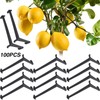 Lasnten 100 Pieces Black Fruit Tree Branch Limb Spreader for
