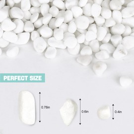 WHANLEY L&Q 2.5 LB Matte Smooth Natural White River Rocks(0.4~0.8 Inches) White Gravel,Vase Filling Stone,Pea Gravel,Decorative Stones,Small Rock,White Gravel for Fish Tank,Aquarium Gravel,Gravel
