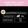 Sheba Alimento Para Gatos Salmón Marinado 24 Sobres 85g Cu