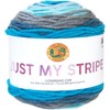 Lion Brand Yarn 502-613 Just My Stripe Yarn, One Size,