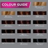 John Frieda Brown Permanent Precision Foam Hair Color Kit, Light