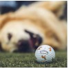 Callaway ONE Callaway Chrome Tour GOLDEN RETRIEVER Let the Big
