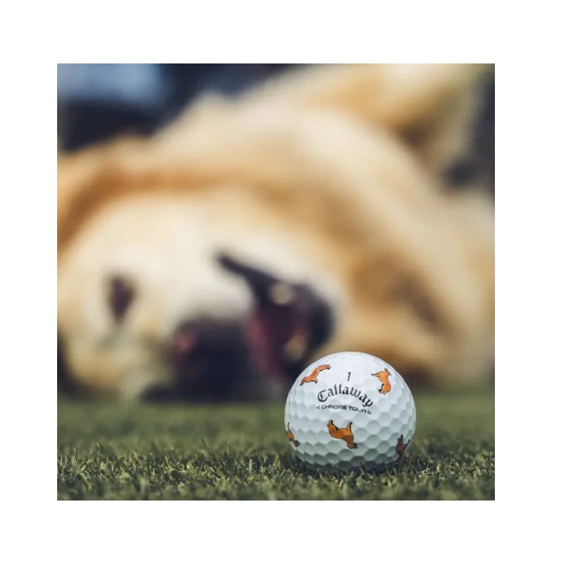 Callaway ONE Callaway Chrome Tour GOLDEN RETRIEVER Let the Big