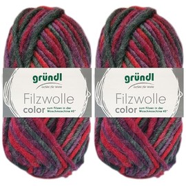 2 x 50 g Gründl Felt Wool Colour Made from 100% Pure New Wool Including Instructions for Pot Holders (24 Purple, Bordeaux, Anthracite, Multicolour)