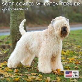 2025 Softcoat Wheaten Terrier Calendar - Dog Breed Wall Calendar - 12 x 24 Open - Thick No-Bleed Paper - 14 Month Planner Calendar Organizing & Planning
