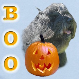 CafePress Bouvier Boo Infant Bodysuit Cute Infant Bodysuit Baby Romper Sky Blue