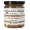 Terrapin Ridge Farms Pecan Honey Mustard - One 10.5 Ounce