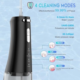 Wasser Dental Flosser Pick für Zähne - 4 Modi Oral Irrigator 300ML Zahnspange Flossers Cleaner, Portable IPX7 wasserdicht Oral Irrigator Professional Flossing Reinigung Picks für Home Travel（Black）