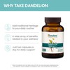 Himalaya Dandelion, Herbal Supplement for Daily Wellness Support, Vegan, Gluten