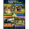 Genérico Pack de 4 Pelotas de Tenis - Pelotas de