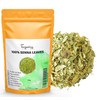 50 g Whole Senna Leaves (Senna Alexandrina) - Detox Herbal