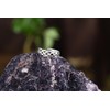 Windalf RHIANA 5mm Celtic Knot Toe Ring 925 Sterling Silver,