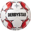 DERBYSTAR BRILLANT TT AG Soccer Ball, No. 5 Ball, IMS