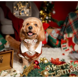 anlvico Christmas Dog Collar for Medium Dogs，Adjustable Cotton White Snowflake Dog Collars Santa Claus Puppy Collar for Male Female Boy and Girl Dogs, M