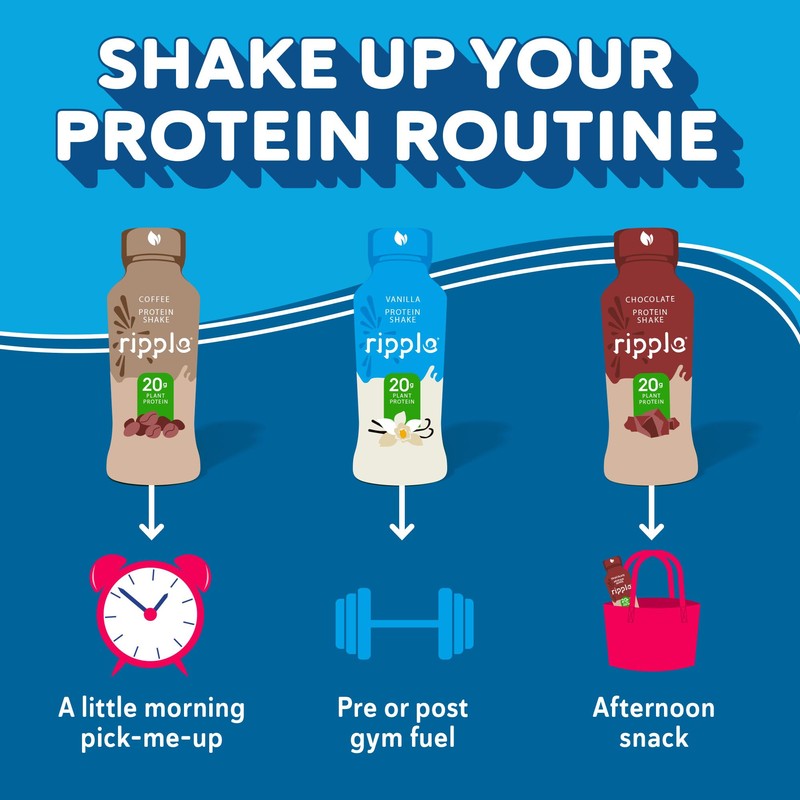 Ripple Plant Based Protein Shake Variety Pack | 20g of