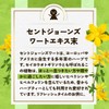 ogaland St. John's Wort (60 Tablets / Approx. 1 Month