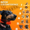 Aschpas® 2 IN 1 Dog Donut Collar with Cone, Inflatable