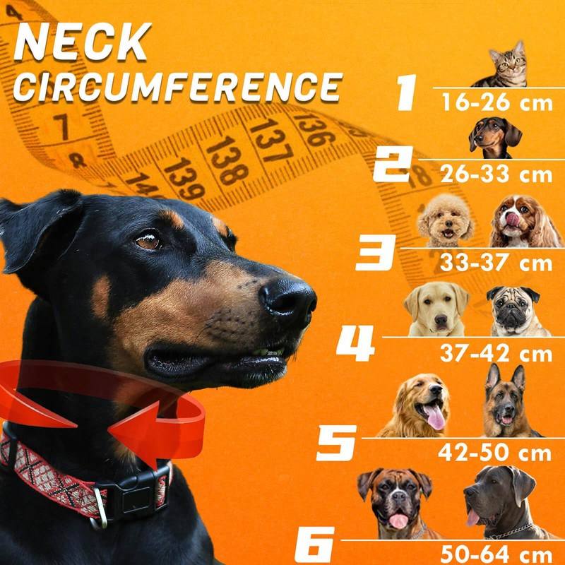 Aschpas® 2 IN 1 Dog Donut Collar with Cone, Inflatable