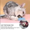 Cat Toy Wall Catnip Ball Toy for Cat Licking Rotatable,Snack
