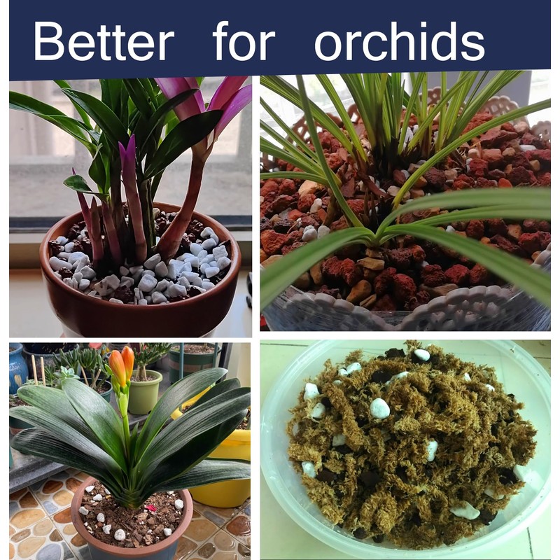 5 QT Professional Grade Horticultural Organic Perlite (5 QT, Large