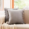 Unbranded 2 Pack Velvet Decorative Throw Pillow Covers for Couch