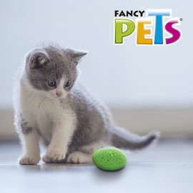 Fancy Pets Juguete Set Surtido Catch para Gato 12 Piezas Tamaño Chico Diferentes Materiales y Diseños Interactivos