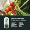 32oz Aeroponics & Hydroponics Liquid Plant Food - Up to