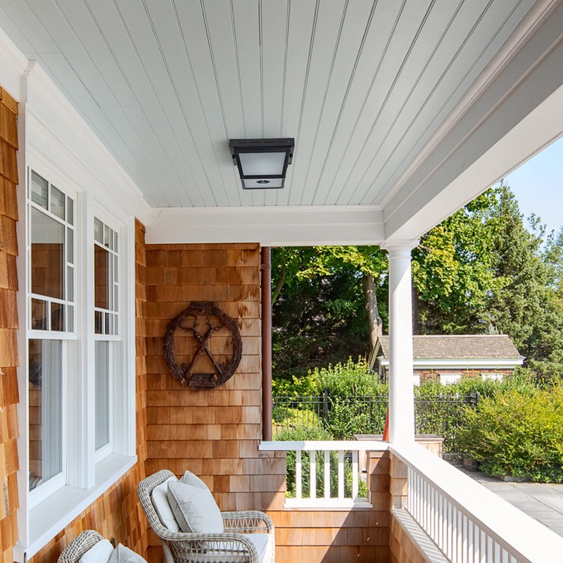 c cattleya 2-Light Motion Sensor Ceiling Light Fixture Outdoor Flush