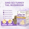 Sino-Sci Sino-Sci Turkey Tail Mushroom - PSK>25% & PSP >