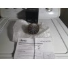 Danze D460054BR Mono Round 2.5 GPM Single Func. Shower Head
