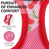 SCENEREAL Cat Harness & Leash Set Escape Proof - Adjustable