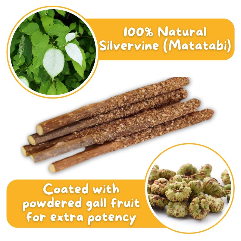 Hide & Scratch Premium Silvervine Sticks with Gall Fruit Powder