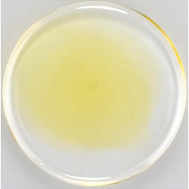 CLYE Four Cart Cute, Handmade, Glasswork, Color Stage, Diameter 2.4 inches (60 mm)