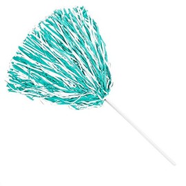 Anderson's Teal and White Shakers, School Spirit Products, Fan Gear, Set of 10