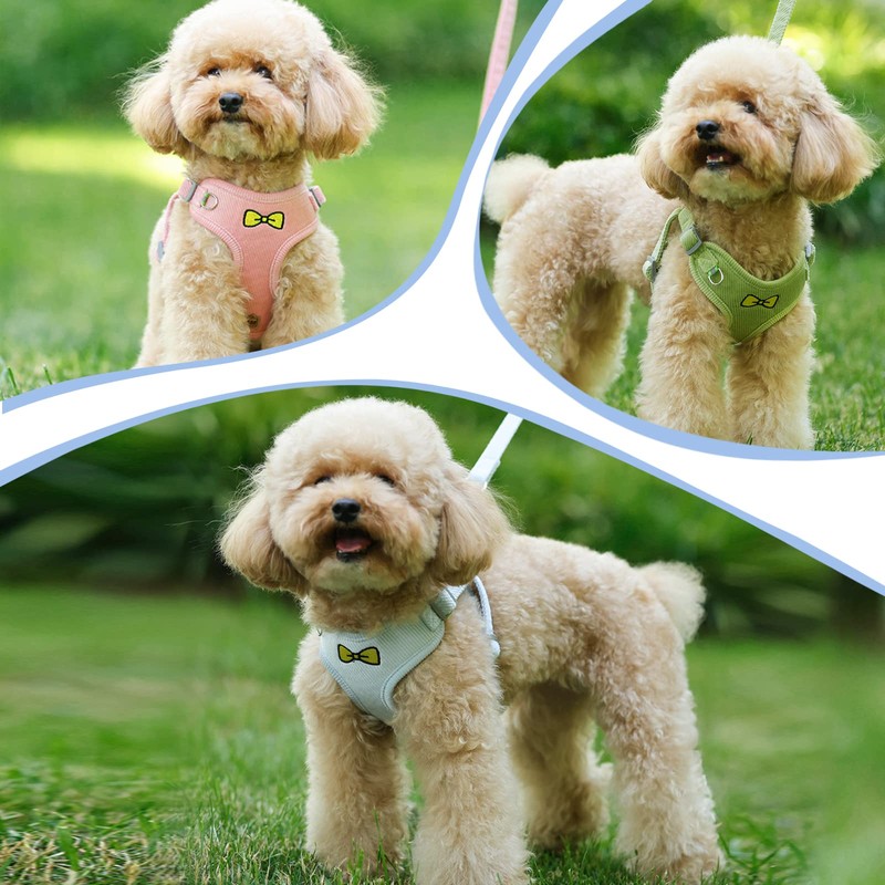 Cat Lead Set for Cats, Polyester Adjustable Cat Harness with