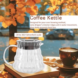 Pour over Coffee Maker, Coffee Server Glass Coffee Carafe, Pour over Coffee Pot, Glass Coffee Dripper with Carafe Lid and Stainless Steel Filter, Stovetop Safe (300ml)