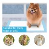 100 Pañales Tapete Entrenador Para Perro Almohadillas 33x45