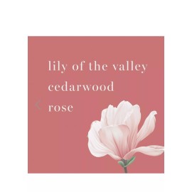 Avon Classics Sweet Honesty Perfume Spray 1.7 Warm Dreams Smell