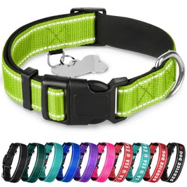 TECEUM - Collar para perro con relleno - Verde ácido, collar para todas las razas y tamaños de gatos y perros, talla XL