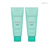 Bring Green Hypoallergenic Oil and Moisture Balance Control Tea Tree Cica Soothing Cream 100ml x 2 / 브링그린 저자극 유수분밸런스조절 티트리 시카 수딩 크림 100ml 2개