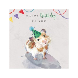 Hamster in A Party Hat Happy Birthday Greeting Card The Wildlife Range Cards II1313